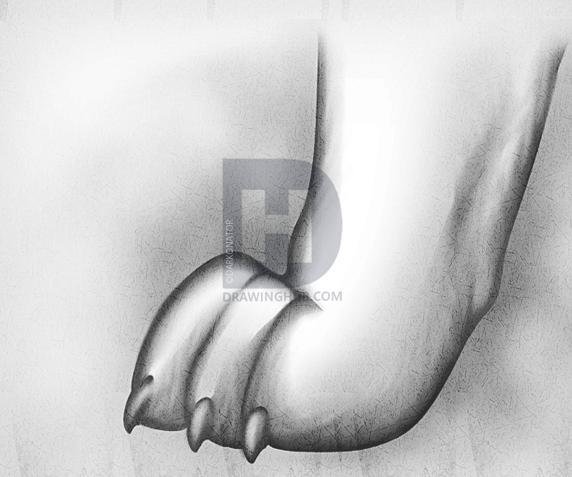 833x695 how to draw wolf paws, step - Wolf Paw Drawing