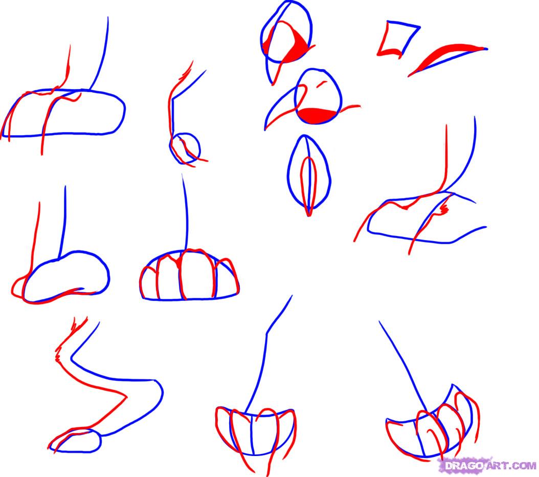 1054x932 how to draw wolf paws, step - Wolf Paw Drawing