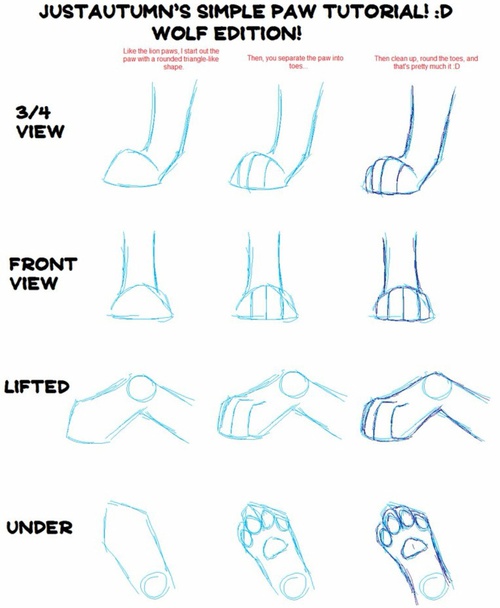 500x608 how to draw realistic wolf paws! d on we heart it - Wolf Paw Drawing