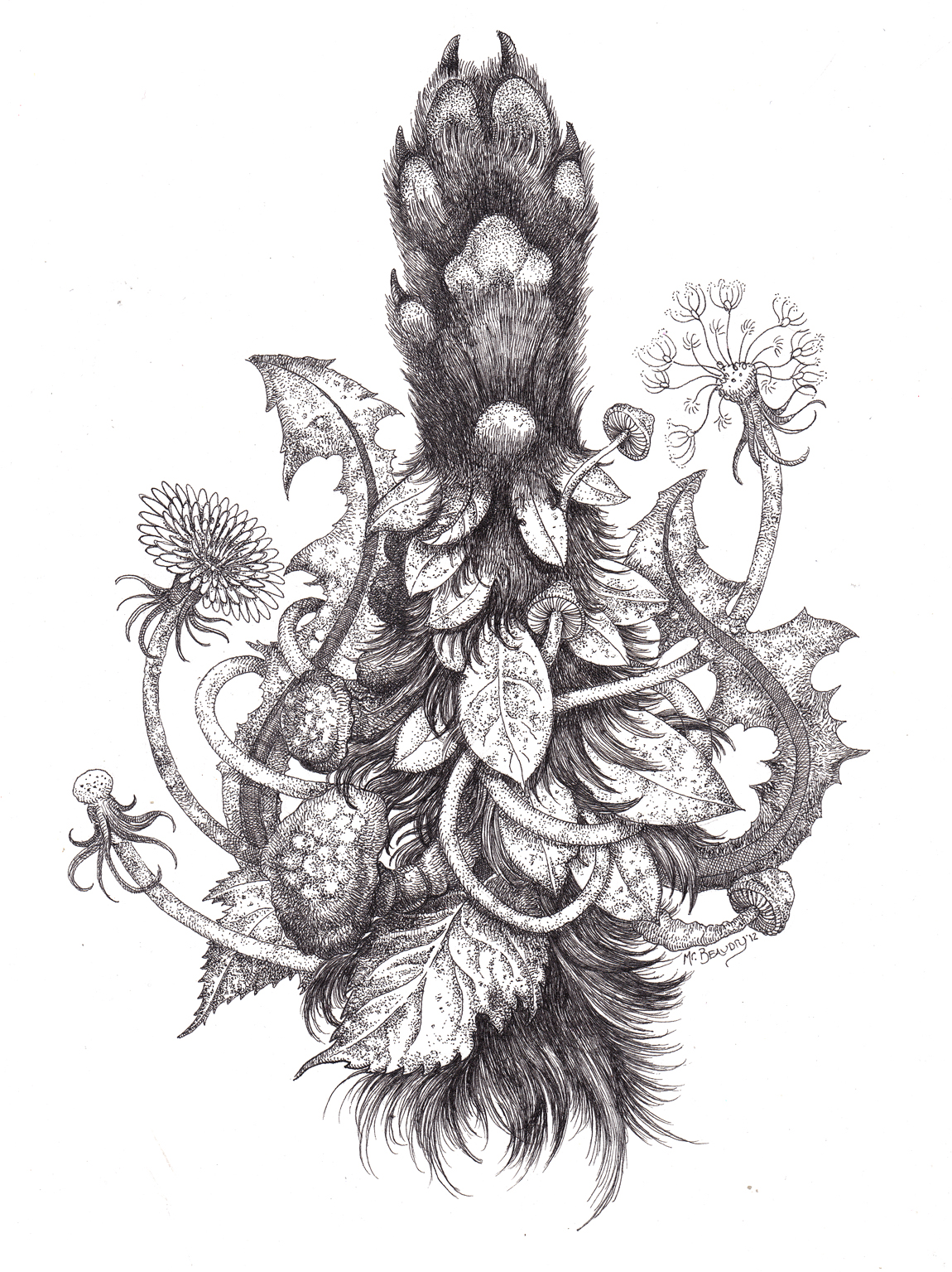 1150x1535 mister beaudry's drawings wolf paw - Wolf Paw Drawing