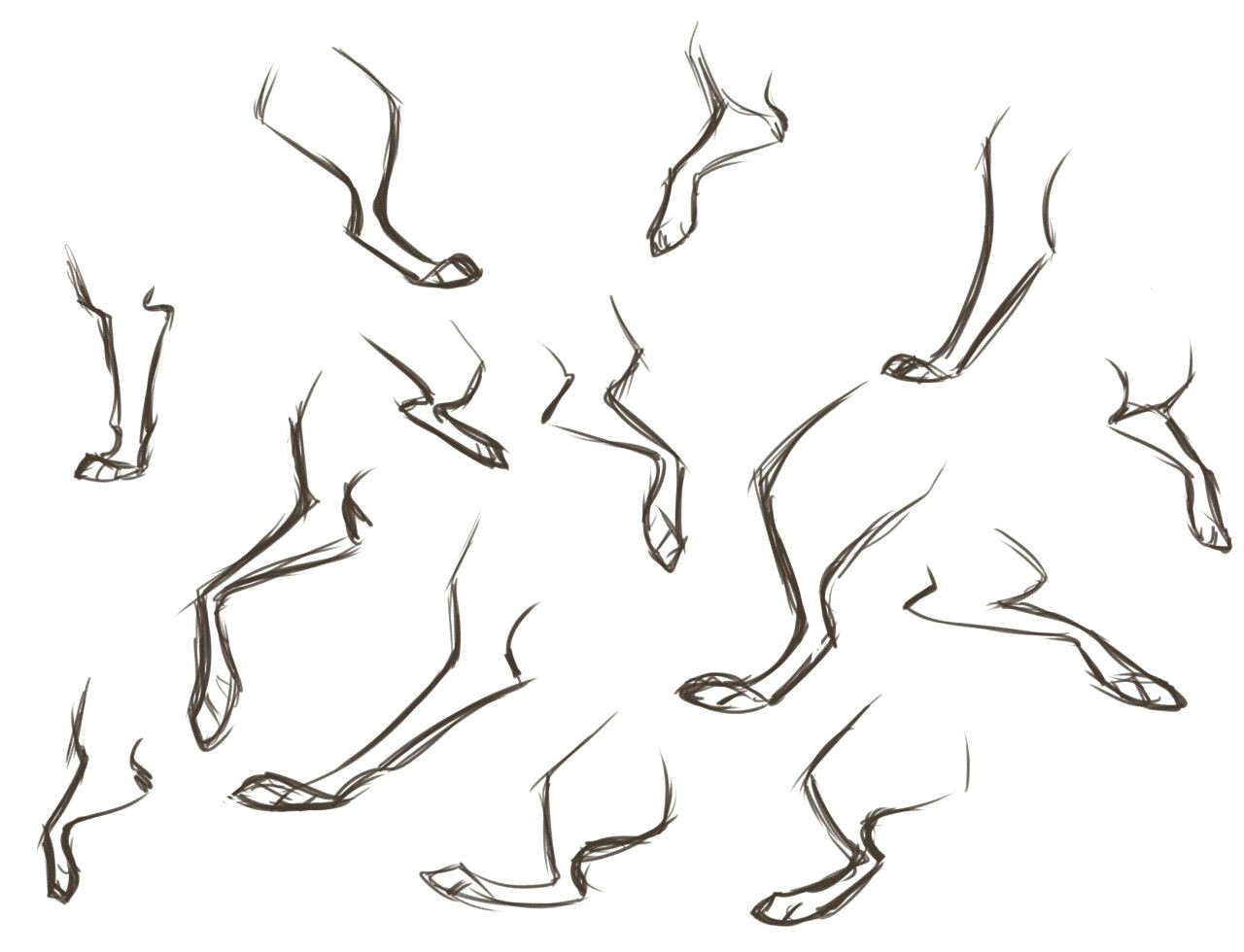 1280x980 Tutorial Wolf Paw Drawing Dogs Legs - Wolf Paw Drawing