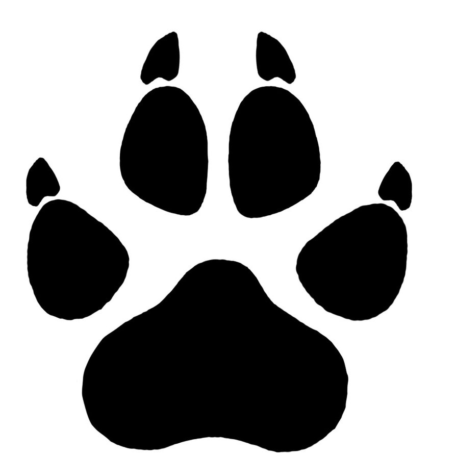 894x894 Wolf Paw Print Drawing - Wolf Paw Drawing