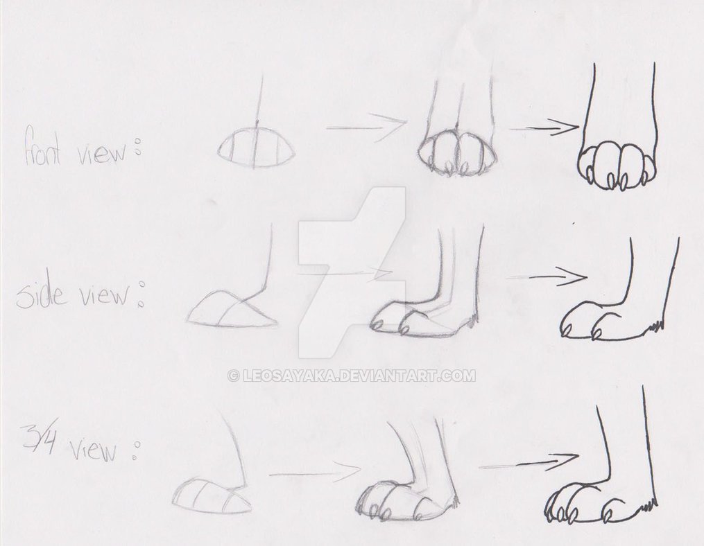 1015x788 how i draw wolf paws - Wolf Paw Drawing