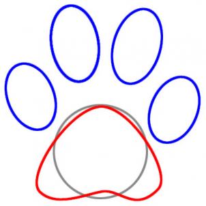 302x302 Draw A Paw Print, Step - Wolf Paw Print Drawing