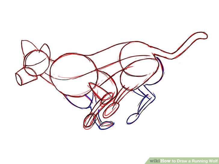 728x546 How To Draw A Running Wolf Steps - Wolf Pictures Drawing