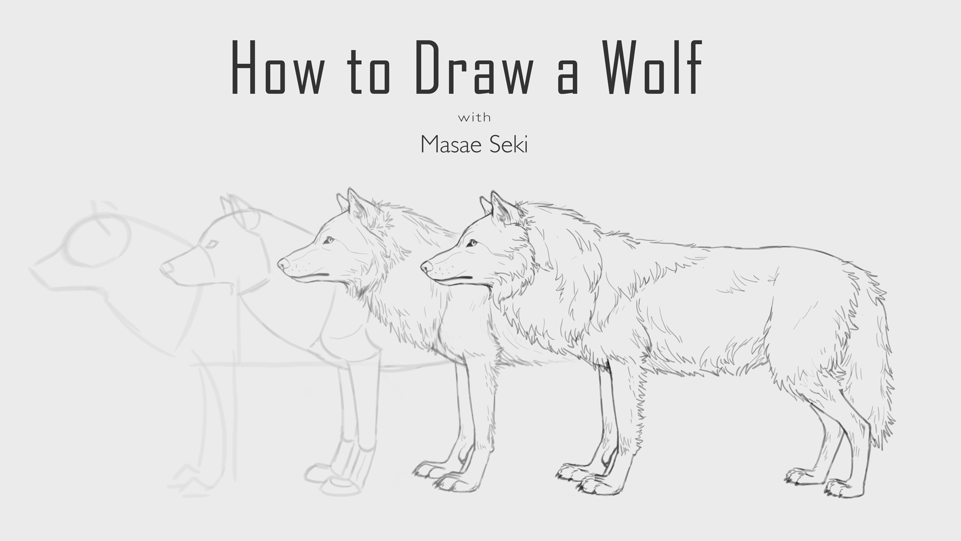 How to draw волк