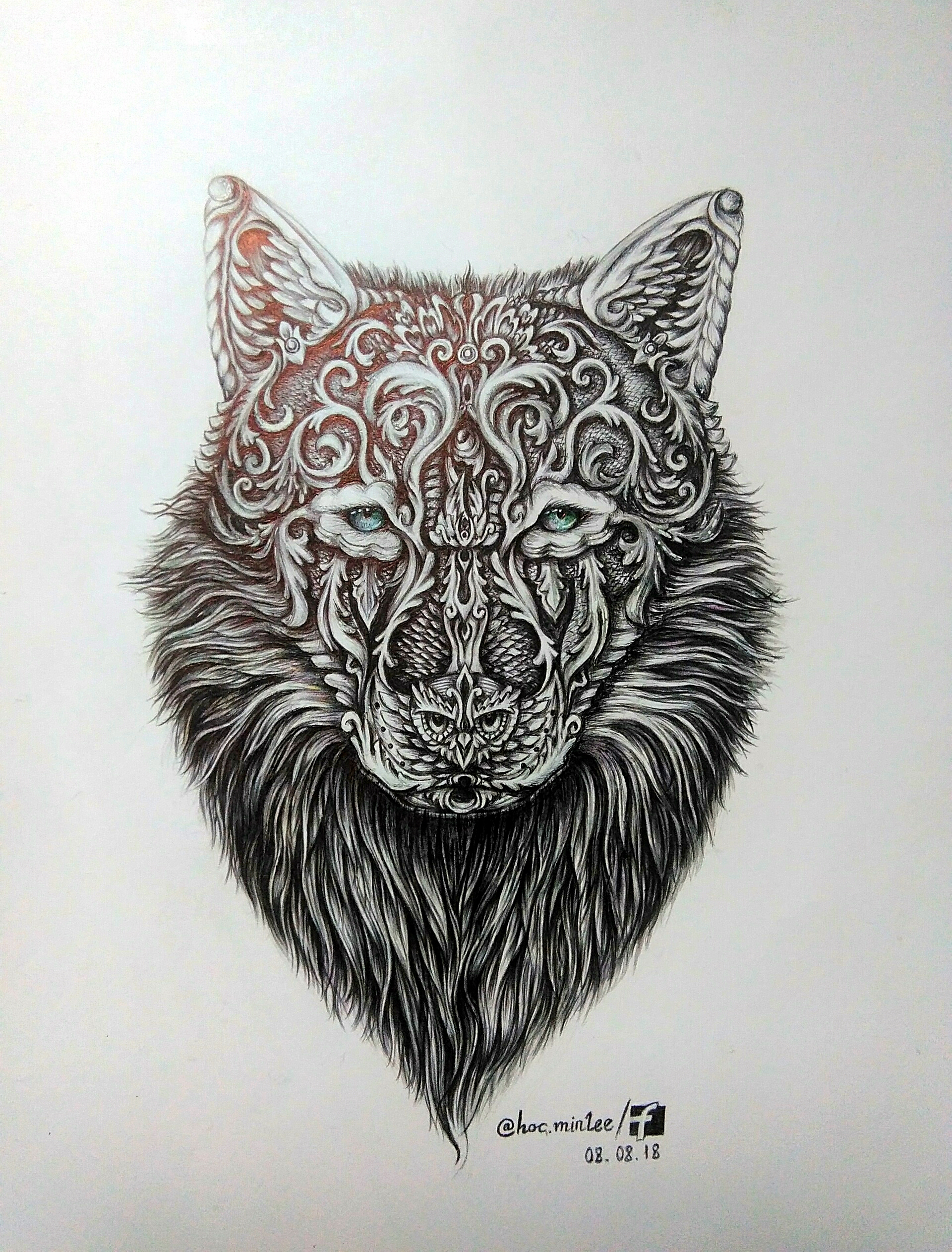 Wolf Pictures Drawing at PaintingValley.com | Explore collection of ...