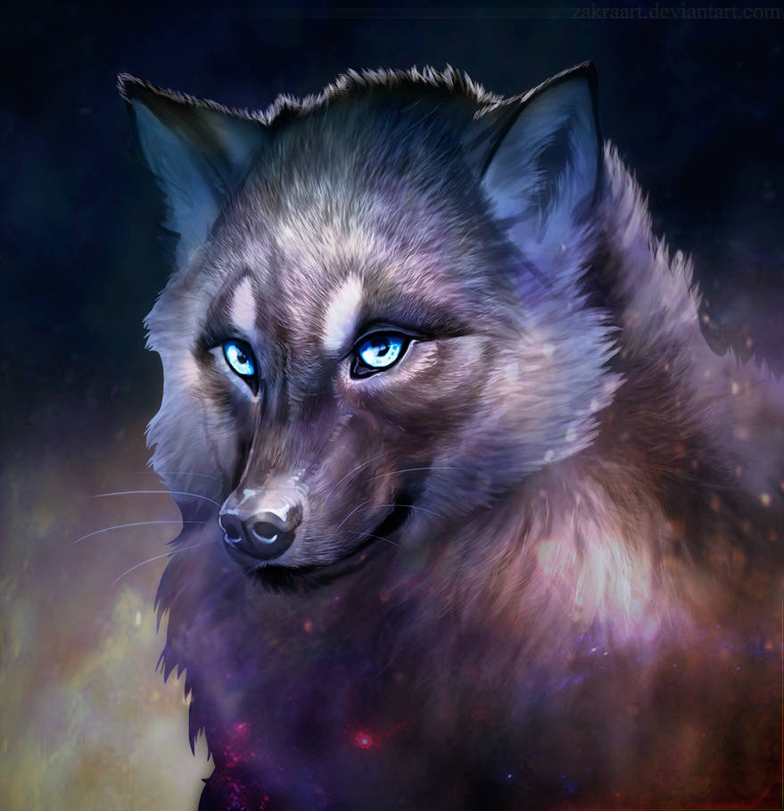 879x909 Wolf Drawing - Wolf Pictures Drawing