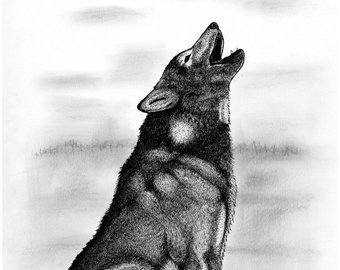 340x270 Wolf Drawing Etsy - Wolf Pictures Drawing