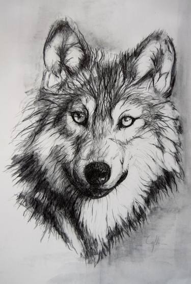 375x556 She Wolf' Drawing - Wolf Portrait Drawing