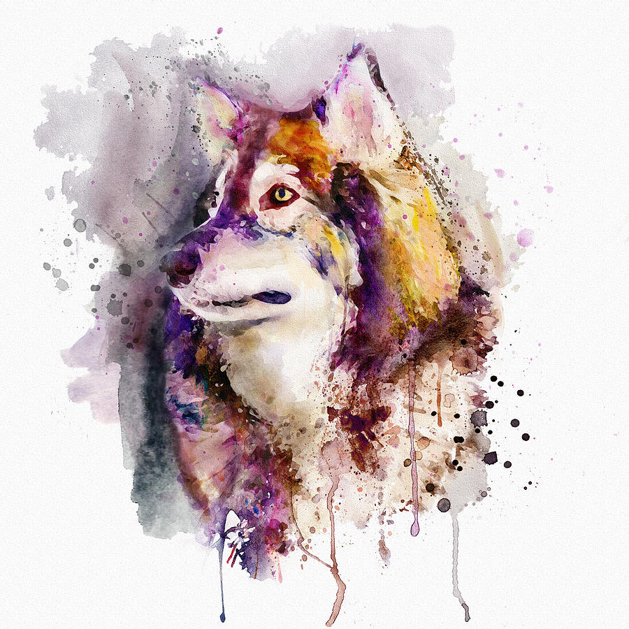 900x900 watercolor wolf portrait painting - Wolf Portrait Drawing