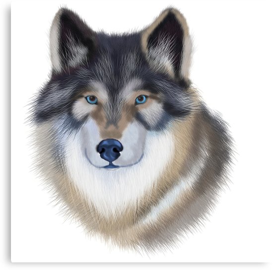 550x545 wolf painting print, wolf print, woodland animal, wolf portrait - Wolf Portrait Drawing