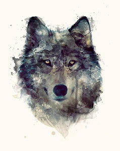 238x300 Wolf Paintings Fine Art America - Wolf Portrait Drawing