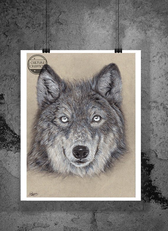 570x784 Wolf Portrait Digital Fine Art Print Etsy - Wolf Portrait Drawing