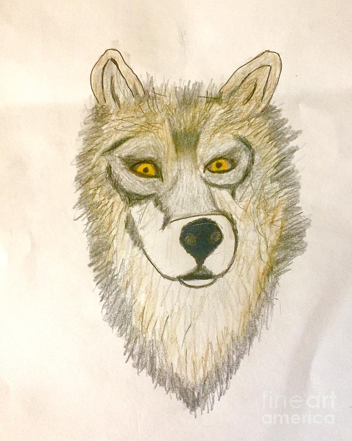 718x900 Wolf Portrait Drawing - Wolf Portrait Drawing