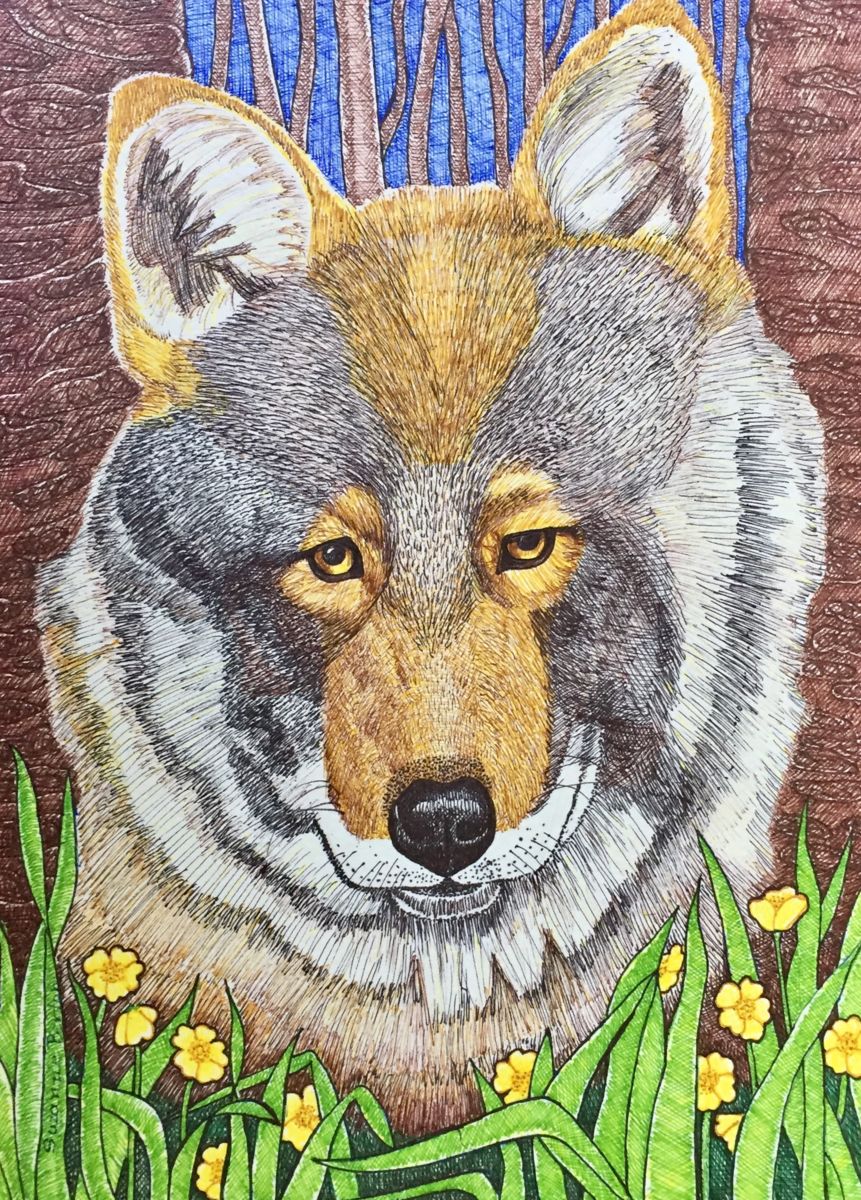861x1200 Wolf Portrait Drawing - Wolf Portrait Drawing