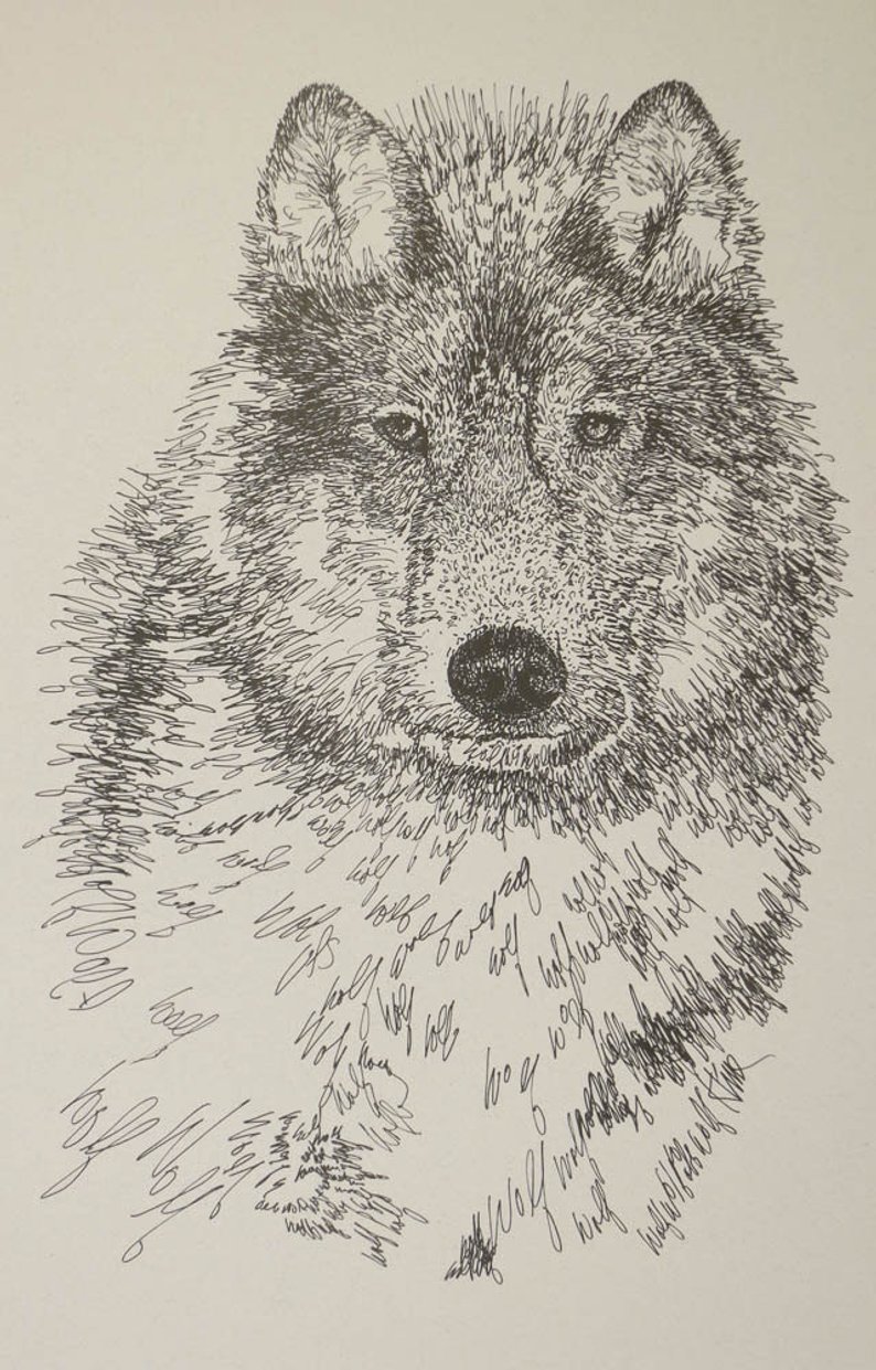 794x1241 Gray Wolf Animal Art Portrait Drawing From Words Great Etsy - Wolf Portrait Drawing