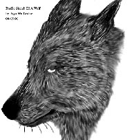 191x203 Nyxstium Pamela's Portoflio - Wolf Profile Drawing