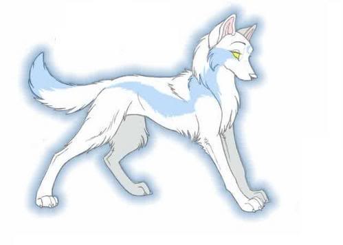 499x356 Viewing Kane The Golden Wolf's Profile Profiles Gaia Online - Wolf Profile Drawing