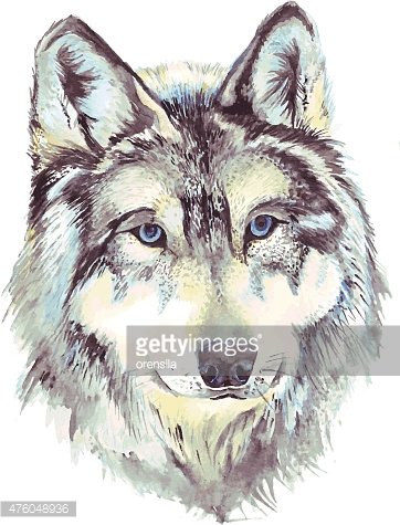 362x475 Wolf Head Profile Stock Vectors - Wolf Profile Drawing