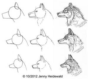 299x270 Wolf Head Profile Drawings - Wolf Profile Drawing