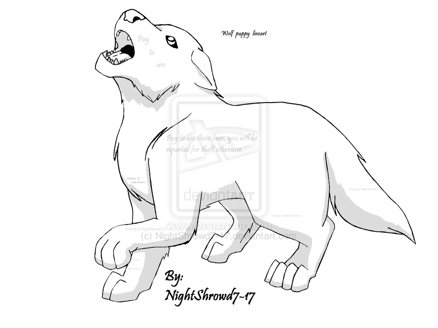 900x675 how to draw a wolf pup step - Wolf Pup Drawing