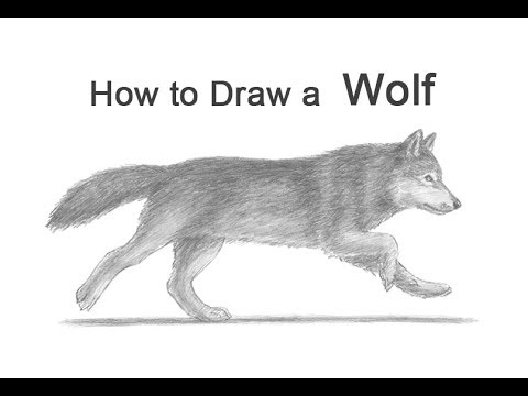 480x360 How To Draw A Wolf - Wolf Running Drawing