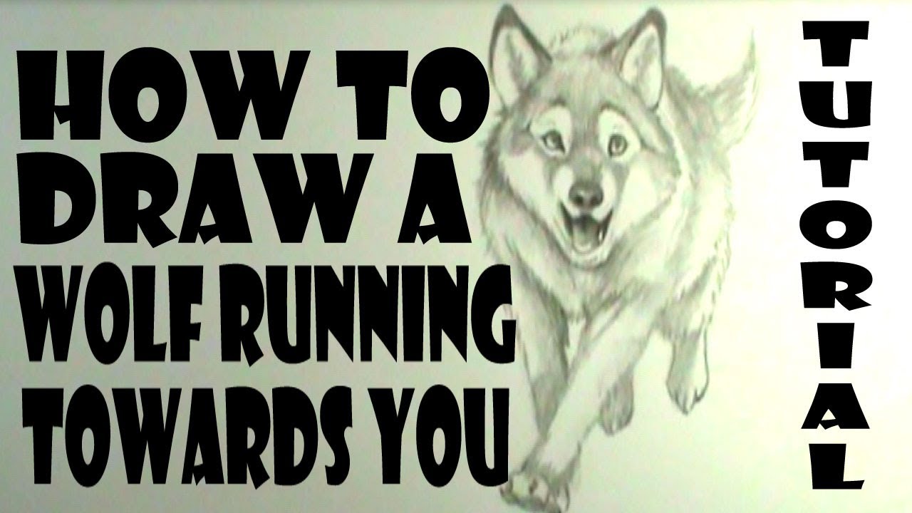 1280x720 How To Draw A Wolf Running Towards You - Wolf Running Drawing