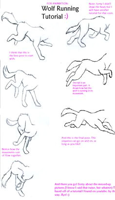 236x411 wolf running drawing easy best wolf images wolf drawings art - Wolf Running Drawing