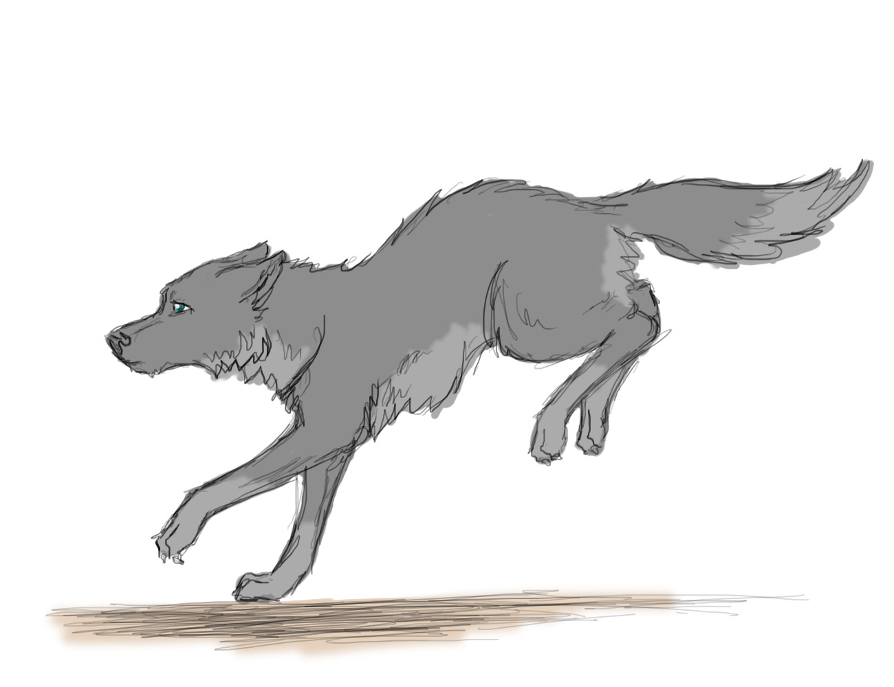 1300x1000 Wolf Running Drawing - Wolf Running Drawing