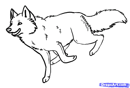 418x281 Draw A Wolf Running, Step - Wolf Running Drawing