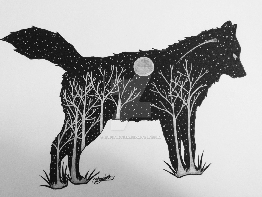 1024x768 wolf midnight forest silhouette - Wolf Silhouette Drawing