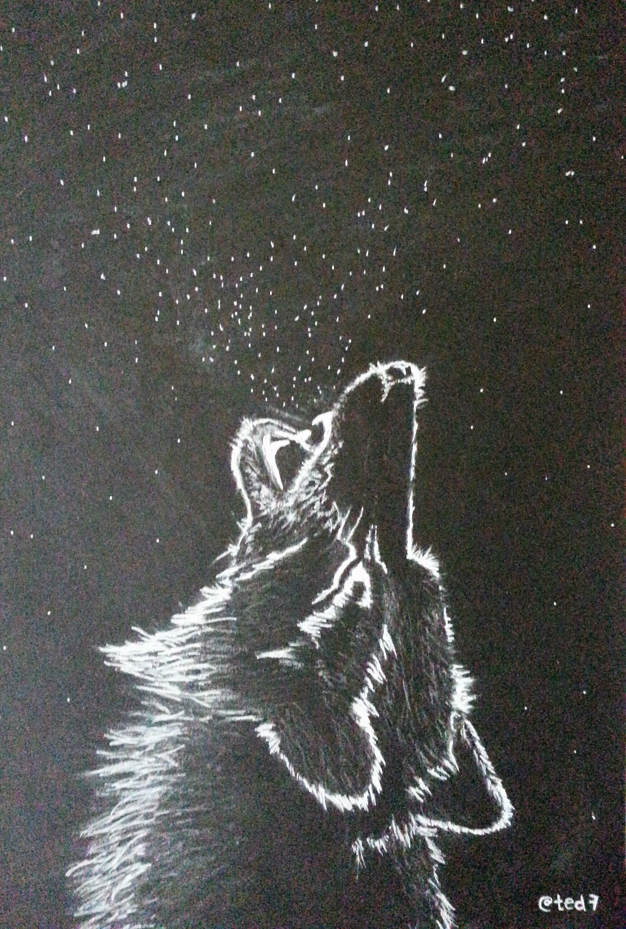 Wolf Silhouette Drawing at PaintingValley.com | Explore collection of ...