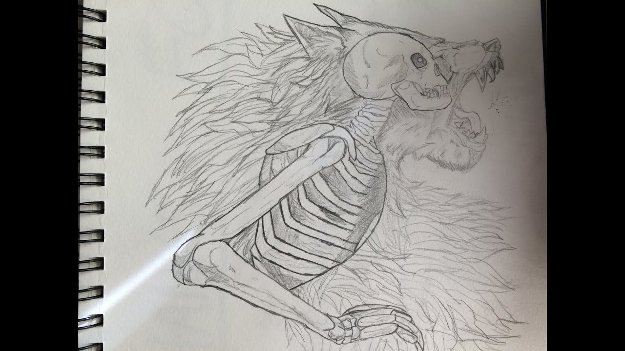 1280x720 How To Draw Skeleton Wolf - Wolf Skeleton Drawing