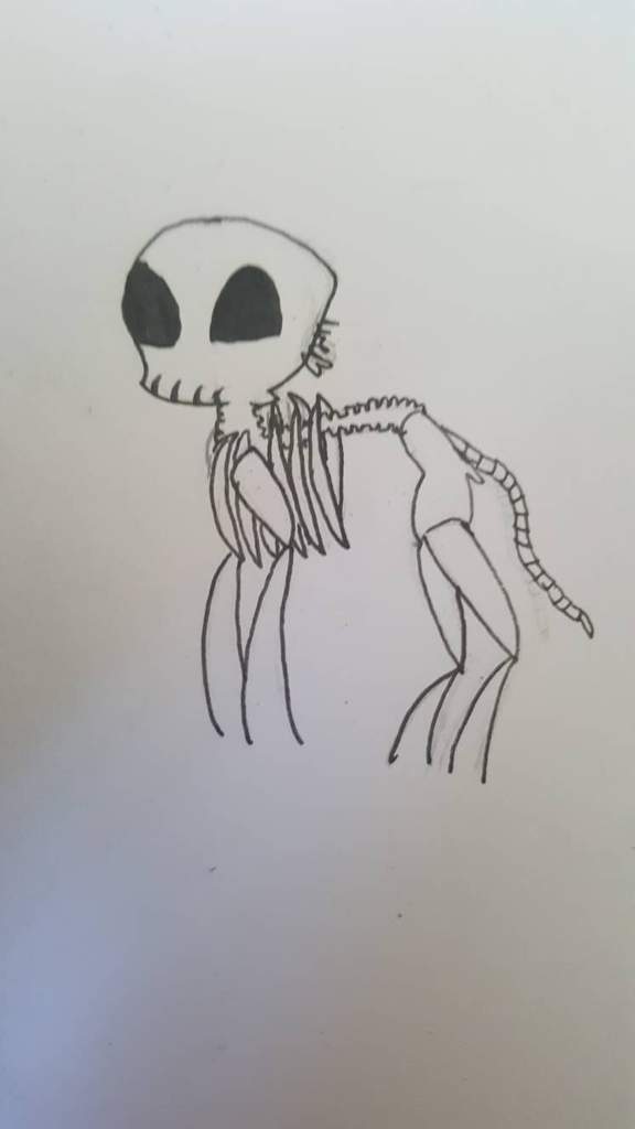 576x1024 Tried To Draw Cartoon Wolf Skeleton Doodles And Drawings Amino - Wolf Skeleton Drawing