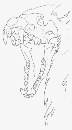 300x540 Skull Drawing Png, Transparent Skull Drawing Png Image Free - Wolf Skull Drawing