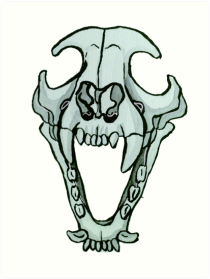 413x549 Wolf Skull Art Prints - Wolf Skull Drawing