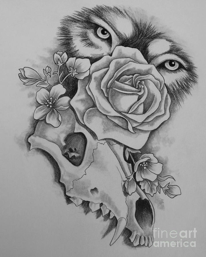 720x900 Wolf Skull Painting - Wolf Skull Drawing