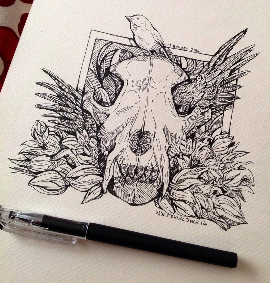 873x916 Wolf Skull Wing - Wolf Skull Drawing