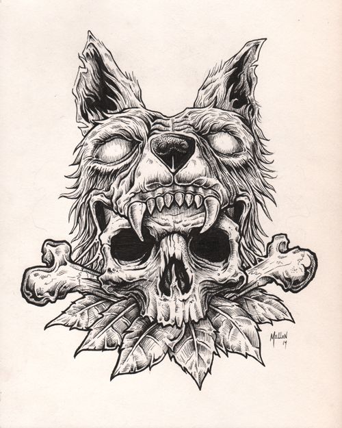 500x625 Wolf Skull Illustration - Wolf Skull Drawing