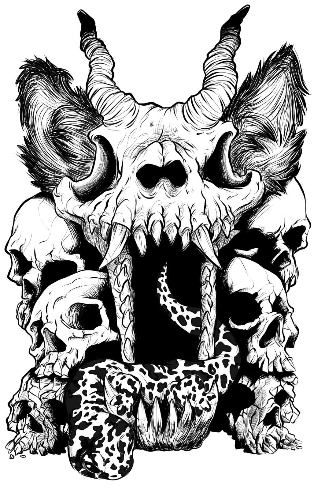 1027x1600 Artstation - Wolf Skull Drawing
