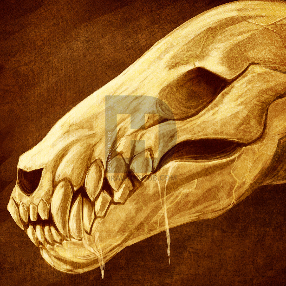 1100x1100 How To Draw A Wolf Skeleton, Wolf Skeleton, Step - Wolf Skull Drawing