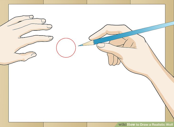 728x529 How To Draw A Realistic Wolf - Wolf Standing Drawing