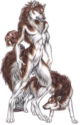 260x407 She Wolf Nalaik Panda - Wolf Standing Drawing