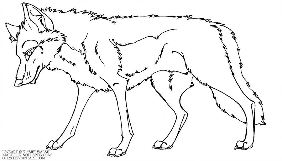 900x514 Wolf Standing Drawing - Wolf Standing Drawing