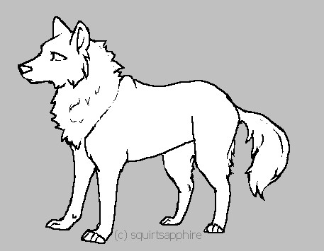 457x355 Wolf Standing Drawing - Wolf Standing Drawing