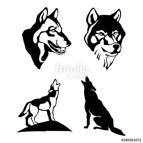 500x500 Wolf Head, Standing, Sitting, Set Of Black And White Drawing - Wolf Standing Drawing