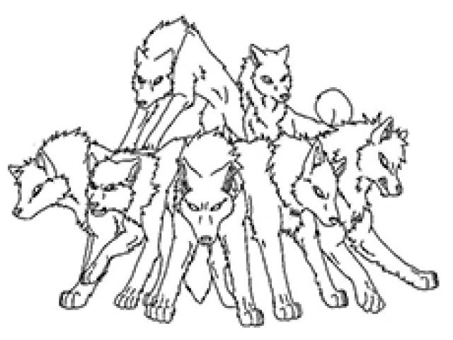640x480 Drawn Wolf Standing - Wolf Standing Drawing