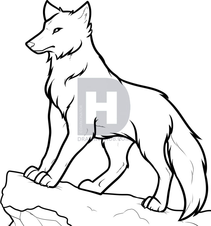 673x720 How To Draw Anime Wolves, Anime Wolves, Step - Wolf Standing Drawing