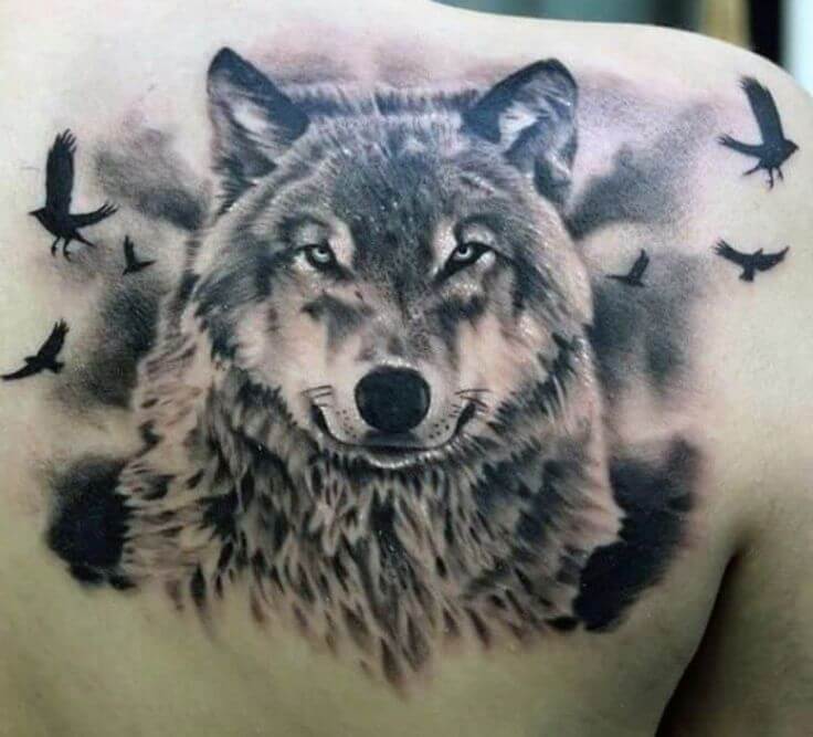 736x667 the best wolf tattoos for men improb - Wolf Tattoo Drawing